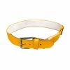 TAG 1-1/2" Baseball Belt - Gold