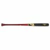 B45 AT13S Premium Abraham Toro Baseball Bat