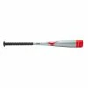 Mizuno B21 Power Alloy USA Baseball Bat (-10)